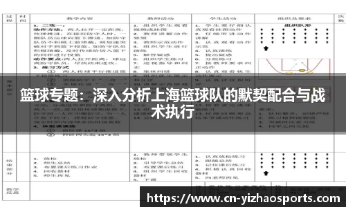 篮球专题：深入分析上海篮球队的默契配合与战术执行