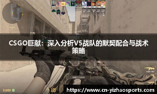 CSGO巨献：深入分析V5战队的默契配合与战术策略
